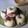Cooksnap dari Saudah🌷 untuk resep Bolu Putih Telur