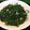 Cooksnap của Hương Lê khi họ làm theo món Rau muống xào tỏi