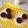 Cooksnap dari Siva Alesha_Kitchen untuk resep Cupcake Brownis Panggang