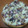 El cooksnap de Alvarito cuando hizo Pizza de queso de cabra, cebolla caramelizada y nueces con base casera integral.