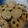 Cooksnap dari Riyatri Haryanti untuk resep Kue kacang Fatmah Bahalwan