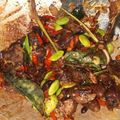Cooksnap dari Ika Kusumawardani untuk resep Tumis Hati Ayam Saus Tiram