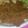BeNeNe717's cooksnap of when they made Baked parmesan tilapia.