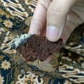 Cooksnap dari Suzan Project untuk resep Bolu Coklat Panggang