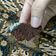 Cooksnap dari Suzan Project untuk resep Bolu Coklat Panggang