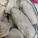 Cooksnap dari sumirak untuk resep Pempek Asli Palembang