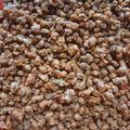 Cooksnap dari Fina Yolanda untuk resep Kacang Telur Kribo