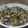Cooksnap dari Dhea Samantha untuk resep Sapi cah Sayur Asin
