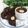 Cooksnap dari fitri_nyimas untuk resep Puding Coklat Pisang