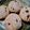 El cooksnap de Natalia Gonzalvo cuando hizo Galletas de avena, coco y chocolate.