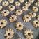 Cooksnap dari Dedifa.Cooking untuk resep Kue semprit ngeprul