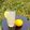Josepha Roland's cooksnap of when they made Lemon drink.