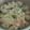 Cooksnap dari Shee_Nokzz untuk resep Sop ayam pak Min klaten