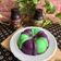 Cooksnap dari Isnawati untuk resep Puding Kelapa Kopyor Kombinasi Puding Coklat Simpel Sederhana