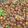 Somi Ali's cooksnap of when they made 3 spice kalay chana chaat.