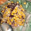 Cooksnap dari Hani Indrawati untuk resep Jasuke