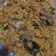 Cooksnap dari Nur hasanah untuk resep Serundeng daging