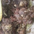Cooksnap dari hanifah alaydrus untuk resep Asem Garem daging Kambing