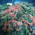 Cooksnap dari Erviana Pandita untuk resep Urap sayur komplit