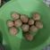 Cooksnap dari Ayunita Bundanya Kashvakaysa untuk resep Chicken cheese ball (camilan debm/keto)