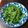 Lin Shu Jhen 的 當梅花豬遇上山芹菜 cooksnap