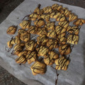 El cooksnap de lakasmy cuando hizo Galletas de mantequilla y chocolate.