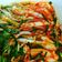 Cooksnap của Hue Tran khi họ làm theo món Kim chi cải thảo