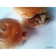Cooksnap dari Inna Alamsyah untuk resep Beef patty