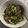 Cooksnap dari annisa yamin untuk resep Pokcoy Cah Daging Sapi ☘🐮🌶🍜