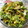 El cooksnap de Juan V cuando hizo Ensalada de patata y mejillones.