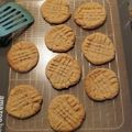 Ed Richardson's cooksnap of when they made 3 ingredient peanut butter cookies (flourless).