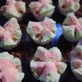 Cooksnap dari Olyne Naibaho untuk resep Bolu kukus semangka mekar