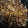 Cooksnap Dunia Hanya Sementara Fy semasa beliau membuat Sambal sotong kering.