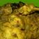 Cooksnap dari YoLan Yoland untuk resep Rendang Ayam