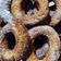 El cooksnap de Dani Ponce cuando hizo Rosquitas fritas sin huevo.