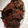 Cooksnap dari Fitri Meutia untuk resep Dendeng Balado