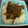 Cooksnap de Maria Silva quando cozinhou Lentilhas estufadas.