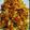 Anusree Goswami's cooksnap of when they made চিকেন পাস্তা (chicken pasta recipe in Bengali).