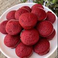 Asmeey's cusine's cooksnap of when they made RVC (Red velvet cake).