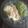 El cooksnap de Argeelia Domínguez cuando hizo Pechuga de pollo con calabacitas.