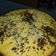 Cooksnap dari Eva Bun SyaQLif untuk resep Bolu Tape