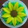 Cooksnap dari Syarah Virsandi untuk resep Puding lotus (bunga matahari)