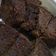 Cooksnap dari Phang Susanty untuk resep Brownies kukus 3 telur