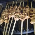 صورة من Sirine haidar، شاركها بعد تجربة وصفة شيش طاووق وكباب مشوي🍡🍢
