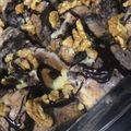 صورة من Um Hmood ، شاركها بعد تجربة وصفة السينابون الكذاب (بالخبز الصامولي)