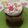 Cooksnap dari Ulla untuk resep Vanilla Cupcake (Moist and Fluffy)