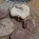 El cooksnap de Valeria Guerra cuando hizo Galletitas de limón. Súper ricas y fáciles 🍋🙀.