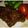 Angela Mertoyono's cooksnap of when they made Diced Steak Made with Ground Beef.