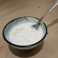 Jyoti Kholi's cooksnap of when they made Boondi ka raita.