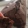 El cooksnap de Jennifer Obrer cuando hizo Torta de chocolate sin huevo.